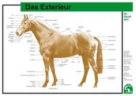  Das Exterieur | Sonstiges |  Sack Fachmedien