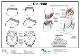 Deutsche Reiterliche Vereinigung e. V. |  Die Hufe | Sonstiges |  Sack Fachmedien