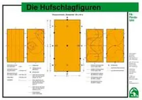  Die Hufschlagfiguren | Sonstiges |  Sack Fachmedien