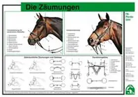  Die Zäumungen | Sonstiges |  Sack Fachmedien