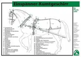  Einspänner-Kumtgeschirr | Sonstiges |  Sack Fachmedien