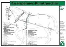  Zweispänner-Kumtgeschirr | Sonstiges |  Sack Fachmedien
