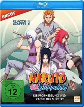 Kishimoto / Obrien |  Naruto Shippuden | Sonstiges |  Sack Fachmedien