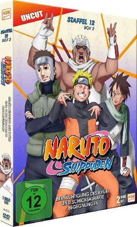 Kishimoto / Obrien |  Naruto Shippuden | Sonstiges |  Sack Fachmedien