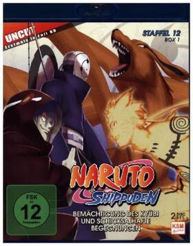 Kishimoto / Obrien |  Naruto Shippuden | Sonstiges |  Sack Fachmedien