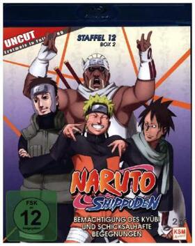 Kishimoto / Obrien |  Naruto Shippuden | Sonstiges |  Sack Fachmedien