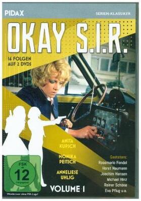  Okay S.I.R. - Vol. 1 | Sonstiges |  Sack Fachmedien
