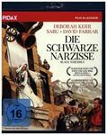  Die schwarze Narzisse (Black Narcissus) | Sonstiges |  Sack Fachmedien