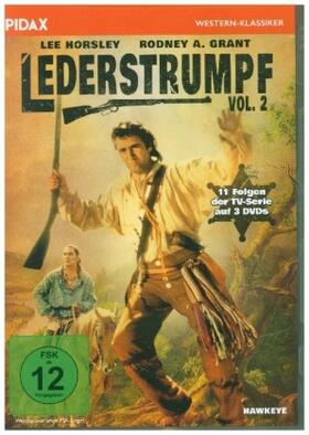 Cooper / Lemasters / Levinson |  Lederstrumpf | Sonstiges |  Sack Fachmedien