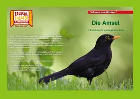 Fischer |  Kamishibai: Die Amsel | Buch |  Sack Fachmedien