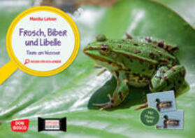 Lehner |  Frosch, Biber und Libelle. Tiere am Wasser. Kamishibai Bildkarten und Memo-Spiel | Sonstiges |  Sack Fachmedien