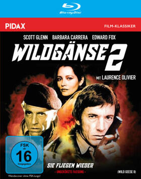 Carney / Rose |  Wildgänse 2 - Sie fliegen wieder | Sonstiges |  Sack Fachmedien
