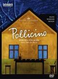  Pollicino-Märchen Für Musik | Sonstiges |  Sack Fachmedien