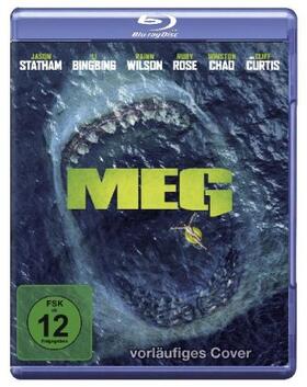 Alten / Avery / Georgaris |  Meg | Sonstiges |  Sack Fachmedien