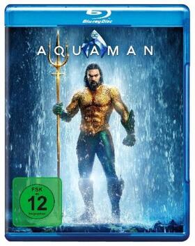 Norris / Weisinger / Johns |  Aquaman | Sonstiges |  Sack Fachmedien