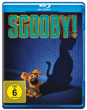 Lieberman / Sztykiel / Donaldson |  Scooby! - Voll verwedelt | Sonstiges |  Sack Fachmedien