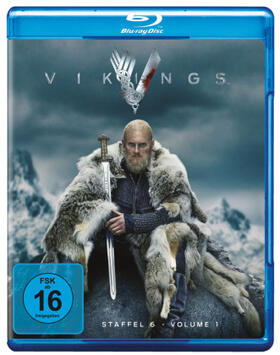 Hirst / Pollard |  Vikings | Sonstiges |  Sack Fachmedien