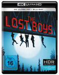  The Lost Boys - 4K UHD | Sonstiges |  Sack Fachmedien