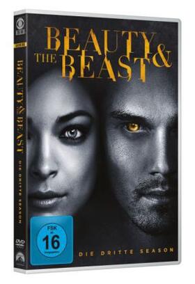Koslow / Cooper-Landsman / Levin |  Beauty and the Beast | Sonstiges |  Sack Fachmedien
