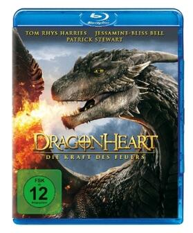 Feitshans |  Dragonheart - Die Kraft des Feuers | Sonstiges |  Sack Fachmedien