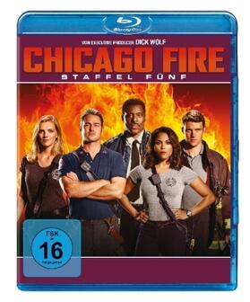 Brandt / Haas / Olmstead |  Chicago Fire | Sonstiges |  Sack Fachmedien