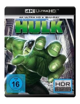 Turman / France / Schamus |  Hulk | Sonstiges |  Sack Fachmedien