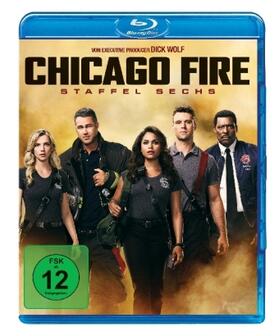 Brandt / Haas / Olmstead |  Chicago Fire | Sonstiges |  Sack Fachmedien
