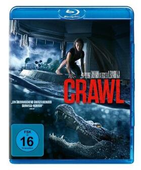 Rasmussen |  Crawl | Sonstiges |  Sack Fachmedien