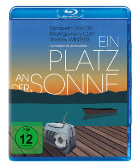 Dreiser / Kearney / Wilson |  Ein Platz an der Sonne | Sonstiges |  Sack Fachmedien