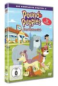 Moss / Steingard / Infante |  Pound Puppies. Staffel.2, 2 DVDs | Sonstiges |  Sack Fachmedien