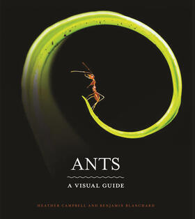 Campbell / Blanchard | Ants | E-Book | sack.de
