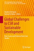Vertigans / Idowu |  Global Challenges to CSR and Sustainable Development | eBook | Sack Fachmedien