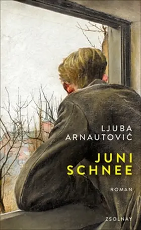 Arnautovic |  Junischnee | eBook | Sack Fachmedien
