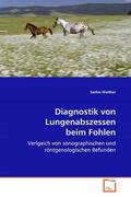 Walther |  Diagnostik von Lungenabszessen beim Fohlen | eBook | Sack Fachmedien