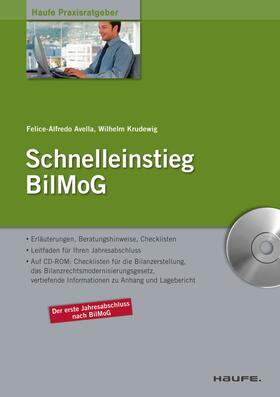 Krudewig / Avella | Schnelleinstieg BilMoG. (Haufe Praxisratgeber) | E-Book | sack.de