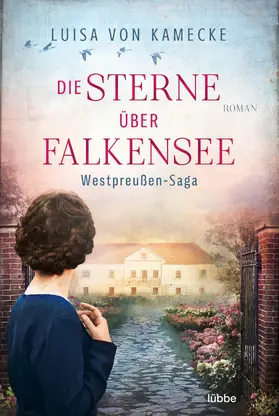 Kamecke |  Die Sterne über Falkensee | eBook | Sack Fachmedien