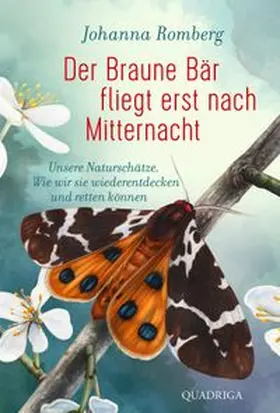 Romberg |  Der Braune Bär fliegt erst nach Mitternacht | eBook | Sack Fachmedien