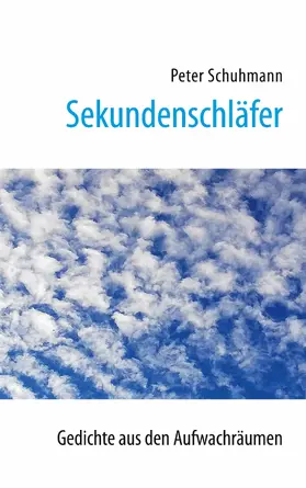 Schuhmann |  Sekundenschläfer | eBook | Sack Fachmedien