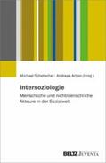 Schetsche / Anton |  Intersoziologie | eBook | Sack Fachmedien