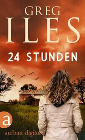 Iles |  24 Stunden | eBook | Sack Fachmedien
