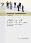 Jünger / Gebel / Dashöfer |  Mitbestimmung und Beteiligung des Betriebsrates | eBook | Sack Fachmedien