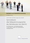 Jünger / Gebel / Schneider |  Sammelband: Alle Mitbestimmungsrechte des Betriebsrates laut BetrVG | eBook | Sack Fachmedien