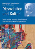 Wolfradt / Fiedler |  Dissoziation und Kultur | eBook | Sack Fachmedien