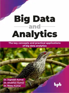 Kumar |  Big Data and Analytics | eBook | Sack Fachmedien