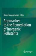 Hasanuzzaman |  Approaches to the Remediation of Inorganic Pollutants | eBook | Sack Fachmedien