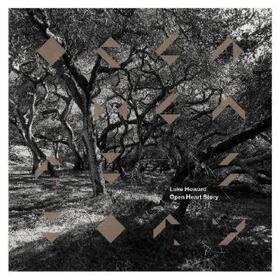  Open Heart Story | Sonstiges |  Sack Fachmedien