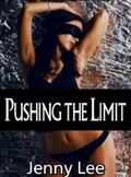 Lee |  Pushing the Limit | eBook | Sack Fachmedien