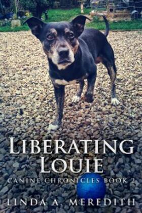 Meredith |  Liberating Louie | eBook | Sack Fachmedien