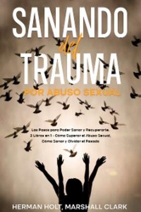 Holt / Clark |  Sanando del Trauma por Abuso Sexual | eBook | Sack Fachmedien