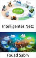 Sabry |  Intelligentes Netz | eBook | Sack Fachmedien